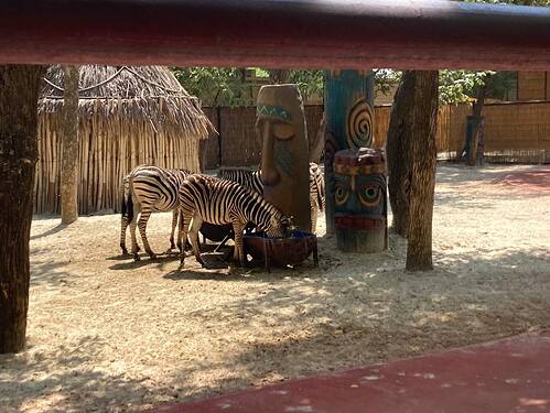 Zebre