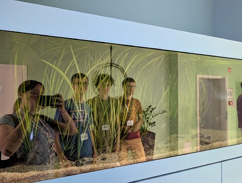 acquario