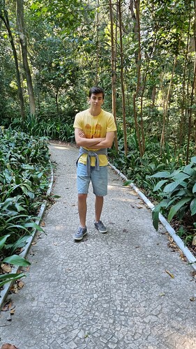 ITA A immerso nella vegetazione
